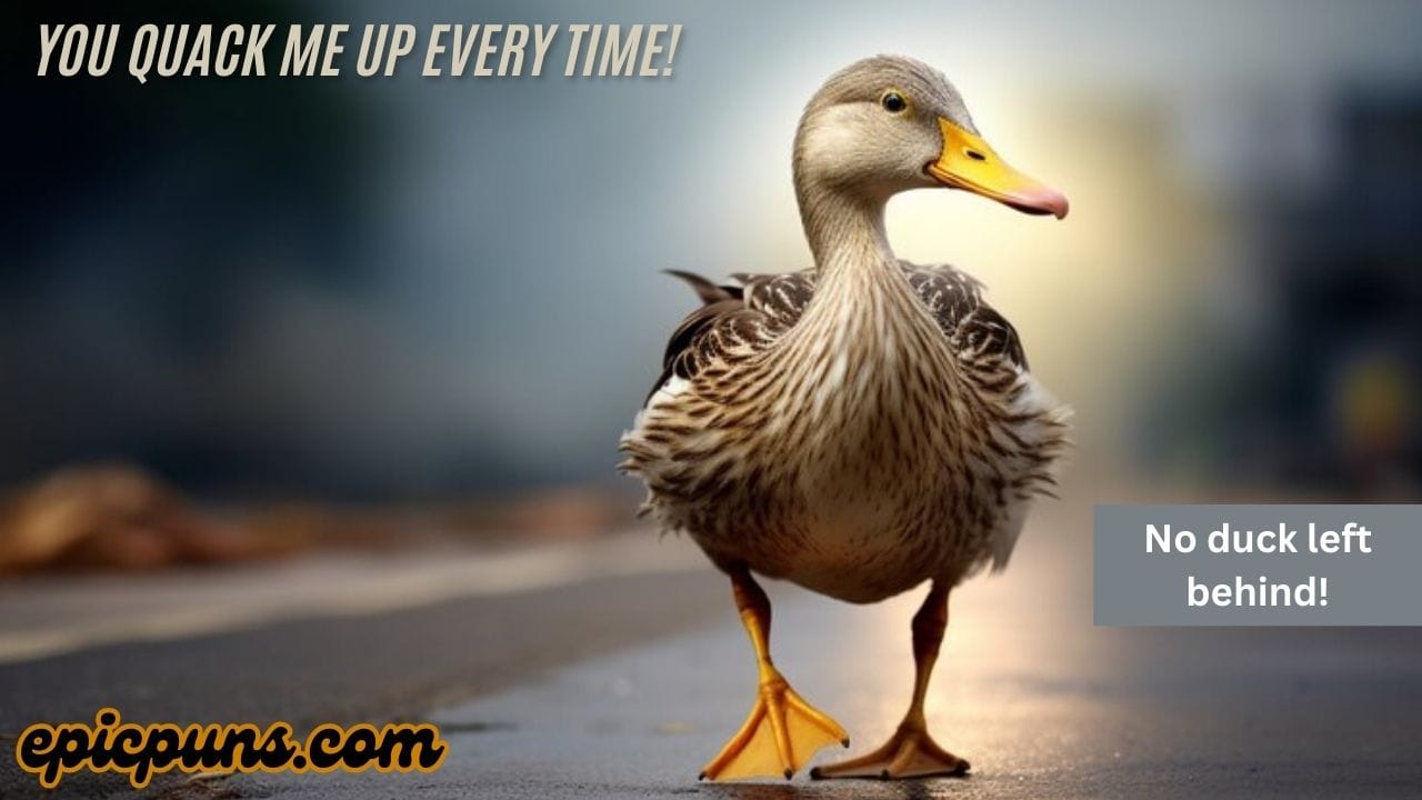Duck Puns