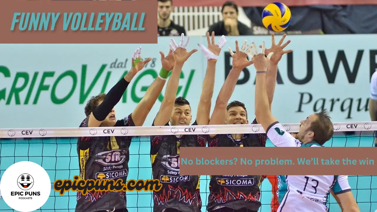 Funny Volleyball